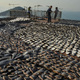 Shark fins drying on the roof of a factory in Hong Kong, 2013.